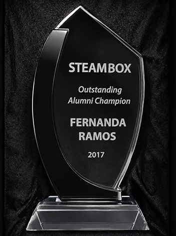 STEAM Box alumni achievement award